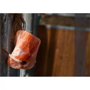 Wholesale salt licks trends in USA market