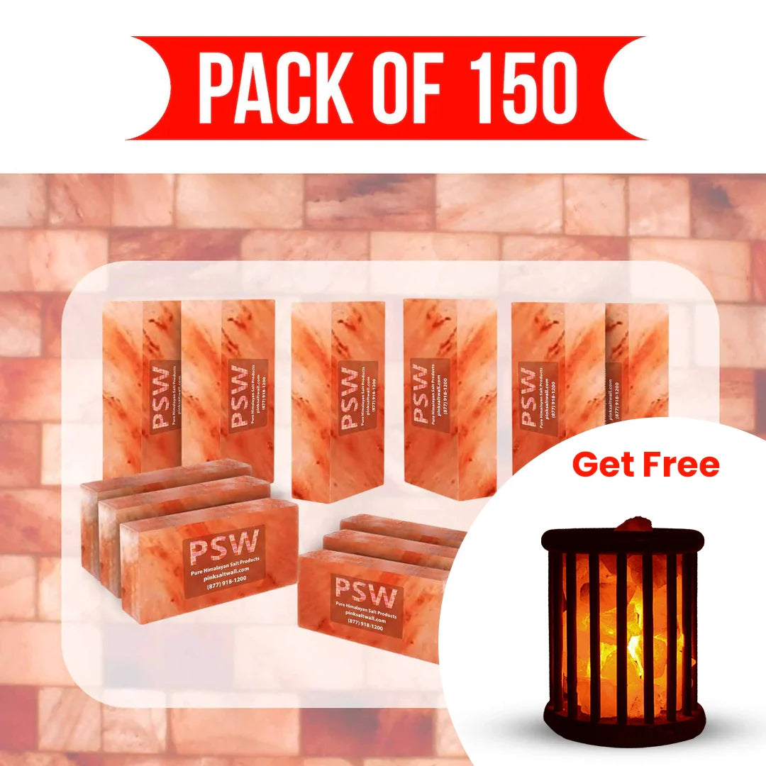 Himalayan Pink Salt Bricks - Pack of 150
