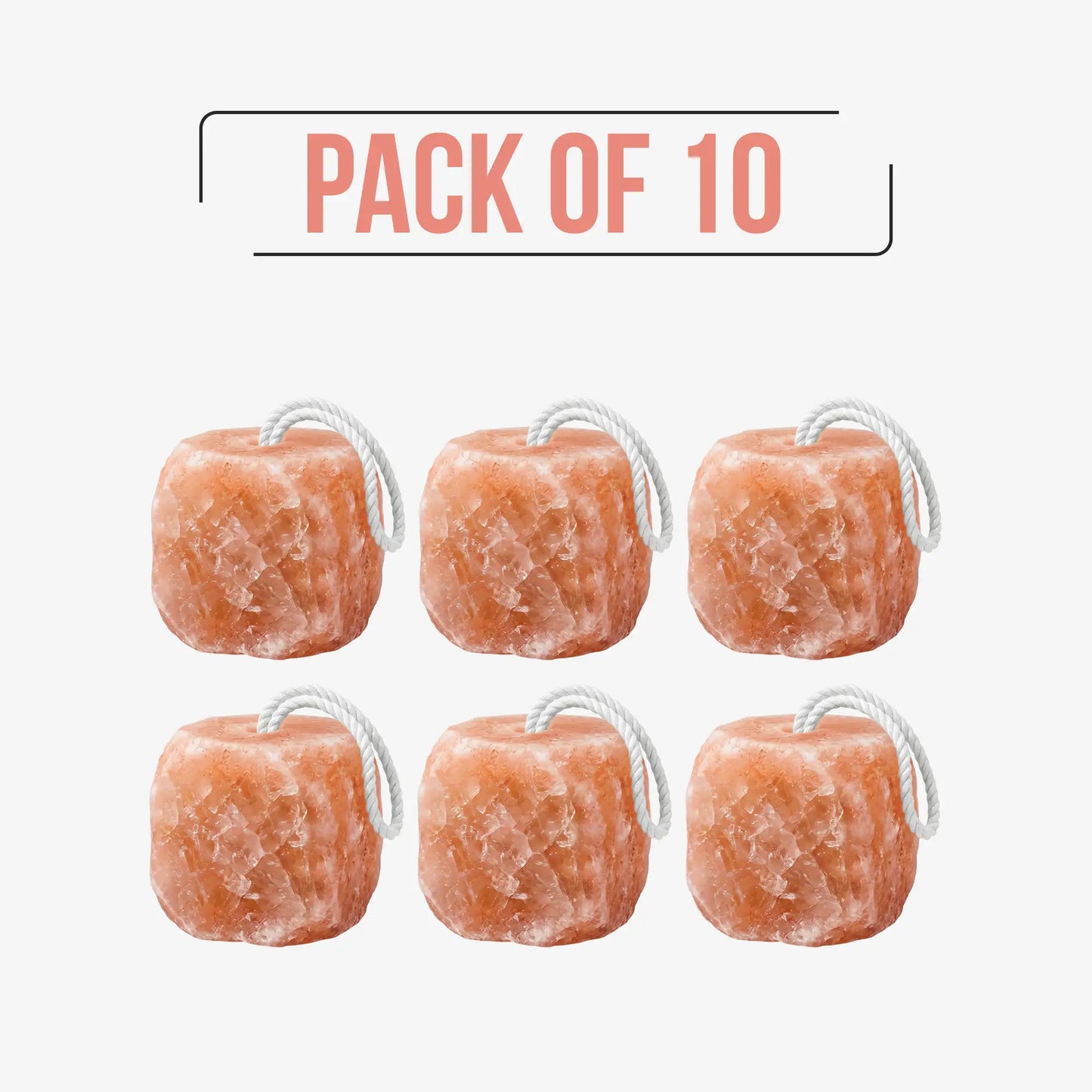 Himalayan Licking Salt Block for Animals Pack of 10