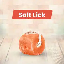 Animal Himalayan Salt Lick