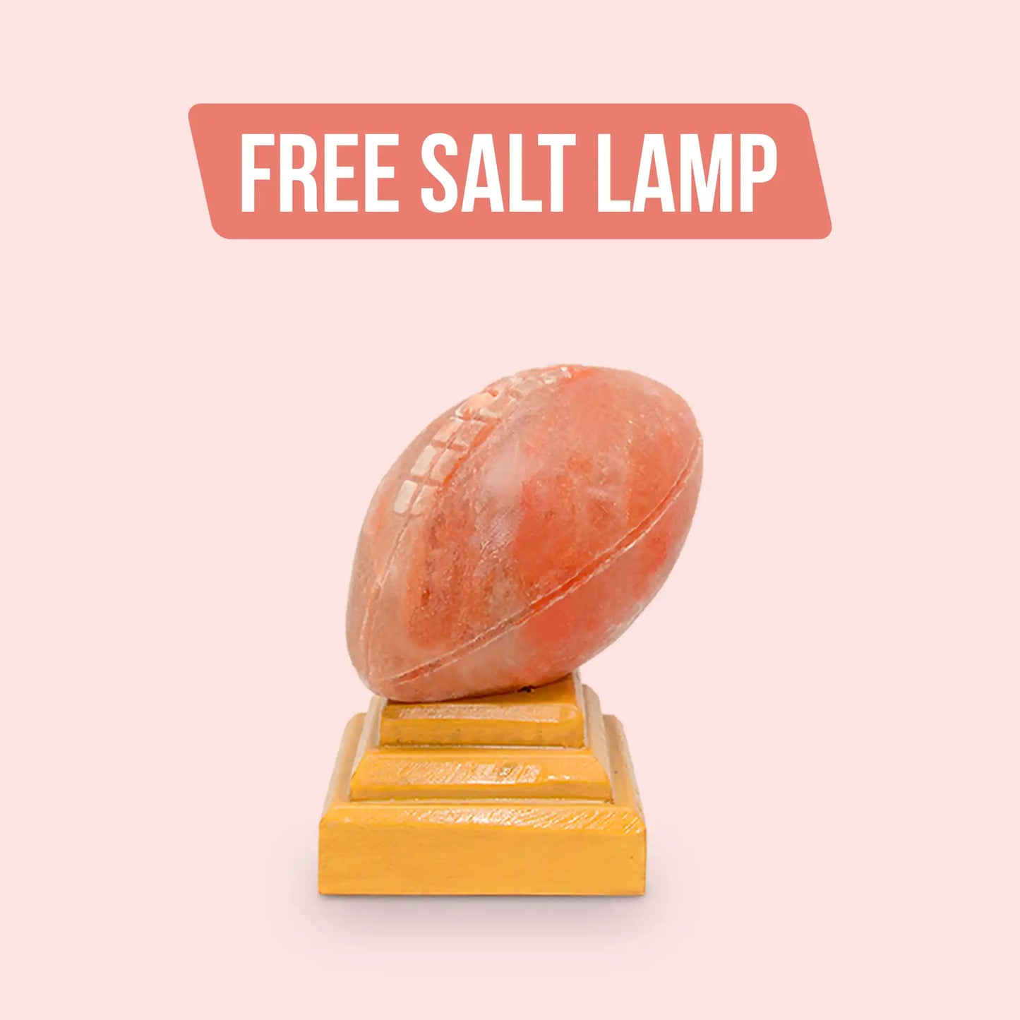 Himalayan Salt Bricks 8" X 4" X 2" - Pack of 300 and Free Salt Lamp