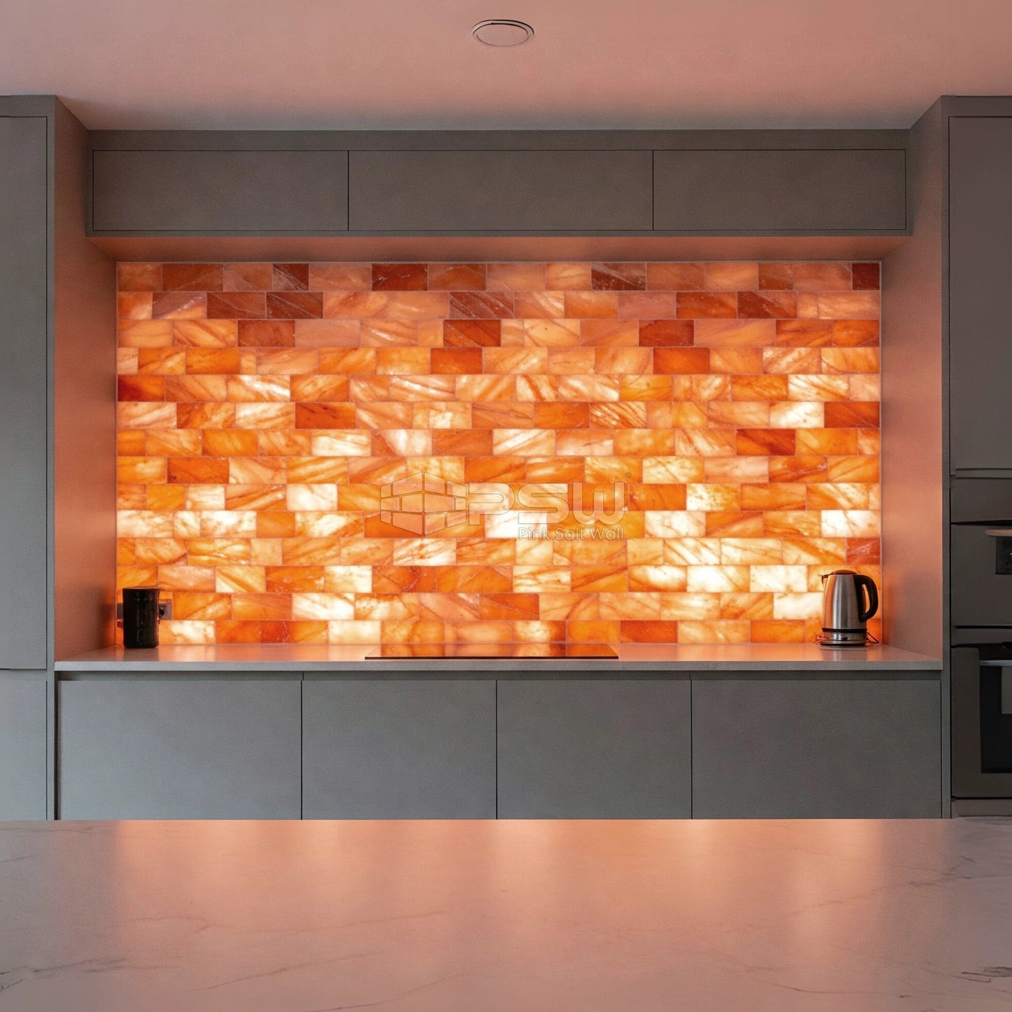 Himalayan Salt Bricks 8" x 4" x 2" Pack of 10 With Free Ducky