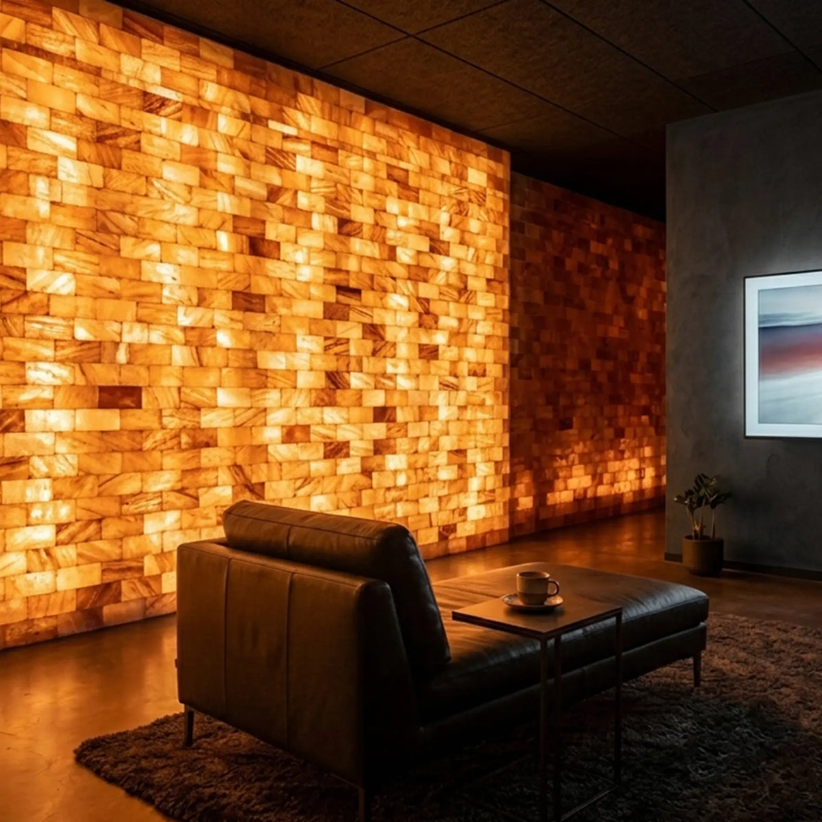 Himalayan pink salt blocks and bricks for wellness