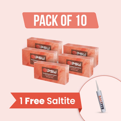 salt bricks pack 10