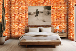 Salt Bricks