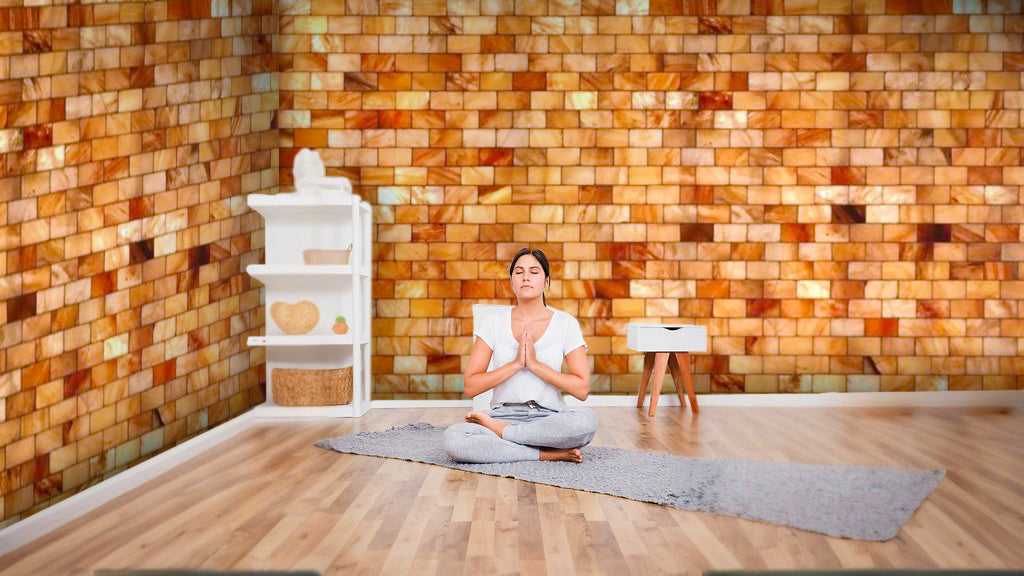 Himalayan salt bricks room