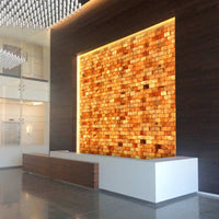 Salt bricks and Himalayan salt tiles Benefits for human beings