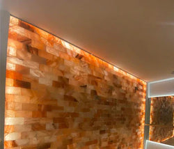 Orange Color Penetrated from Salt Blocks is Healthful