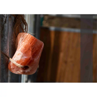 Wholesale salt licks trends in USA market