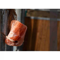 Wholesale salt licks trends in USA market