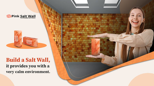 Salt Wall