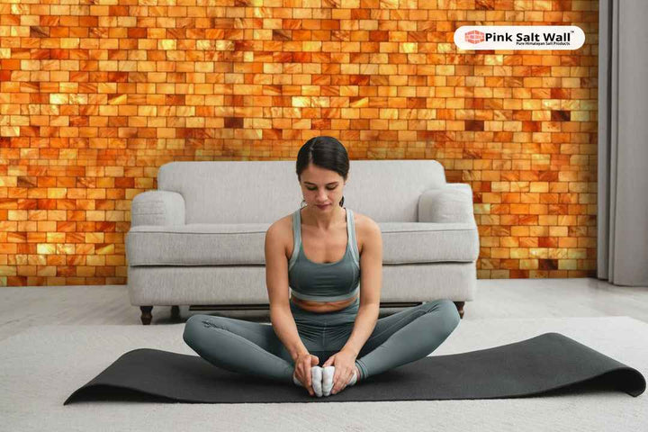 Himalayan Salt Bricks