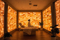 Himalayan salt bricks