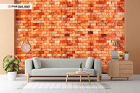 Himalayan Pink Salt Bricks