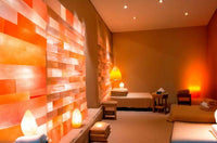 Himalayan salt bricks