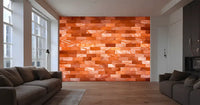 Himalayan salt tiles