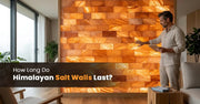 How Long Do Himalayan Salt Walls Last