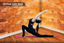 Himalayan salt bricks