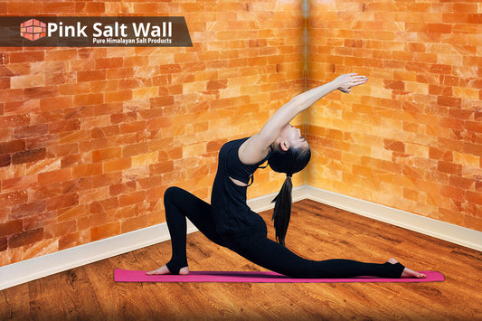 Himalayan salt bricks