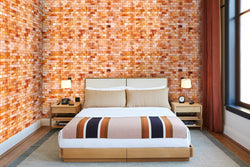 Himalayan salt tiles