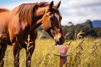 salt licks for animals