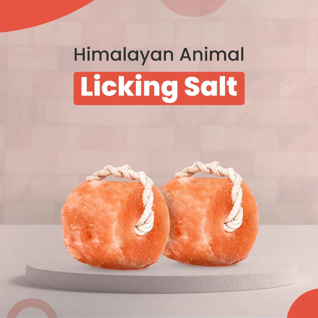 Animal Himalayan Salt Lick