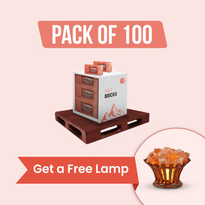 100 Salt bricks with free salt lamp