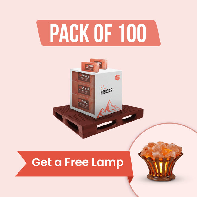 100 Salt bricks with free salt lamp