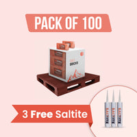 100 bricks with 3 free saltite