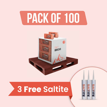 100 bricks with 3 free saltite
