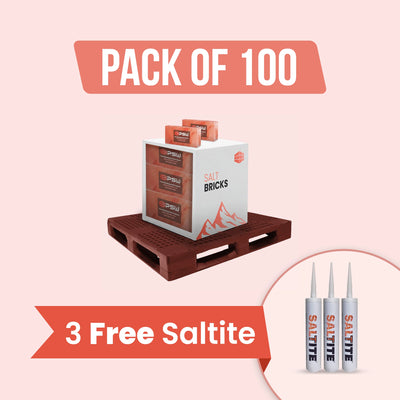 100 bricks with 3 free saltite
