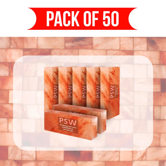 Himalayan Salt Bricks 12"(L) x 4"(W) x 2"(H) - Pack of 50