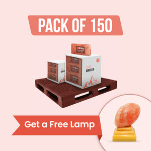 150 salt bricks with free salt lamp