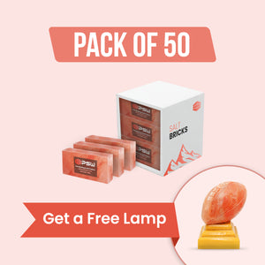 50 Salt Bricks with Free Salt Lamp