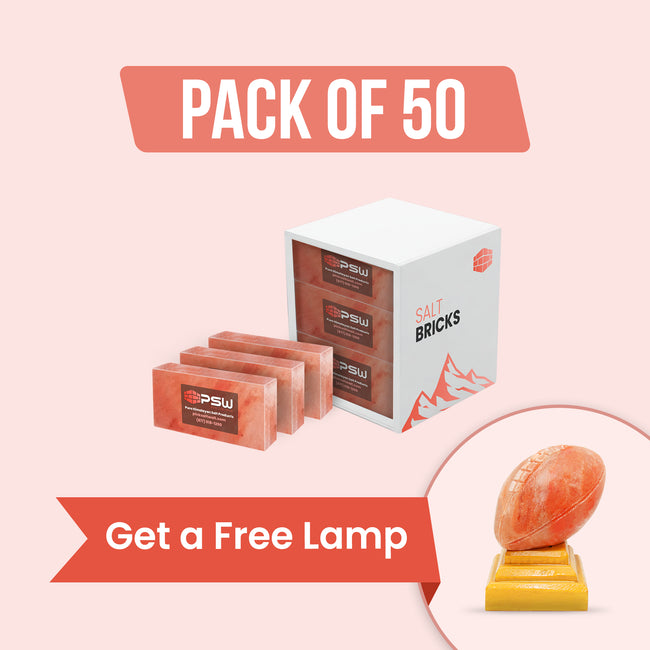 50 Salt Bricks with Free Salt Lamp