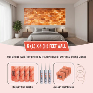 6 ft x 4 ft Salt Wall Pack  (102 Full Bricks, 12 Half Bricks, 4 Saltite Adhesive, 30 ft LED String Lights)