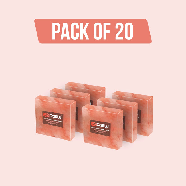Himalayan Salt Blocks (8" x 8" x 2") - Pack of 20