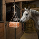 Animal Licking Salt Block