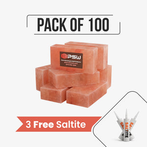 Himalayan Salt Bricks 8" x 4" x 2" - Pack of 100 with 3 free Saltite