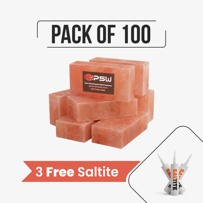 Himalayan Salt Bricks 8" x 4" x 2" - Pack of 100 with 3 free Saltite
