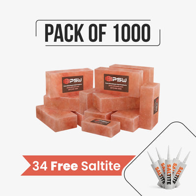 Himalayan Salt Bricks 8" x 4" x 2" Pack of 1000 With 34 free Saltite