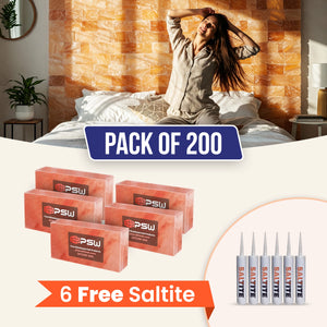 Himalayan Salt Bricks 8" x 4" x 2" Pack of 200 With 6 free Saltite
