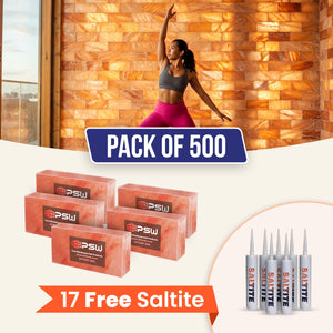 Himalayan Salt Bricks 8" x 4" x 2" Pack of 500 With 17 free Saltite