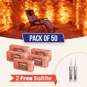 Himalayan Salt Bricks 8" x 4" x 2" Pack of 50 With Free 2 Saltite