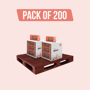 Himalayan Pink Salt Bricks 8" x 4" x 2" - Pack of 200