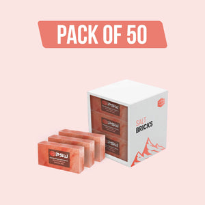 Himalayan Pink Salt Bricks 8" x 4" x 2" - Pack of 50