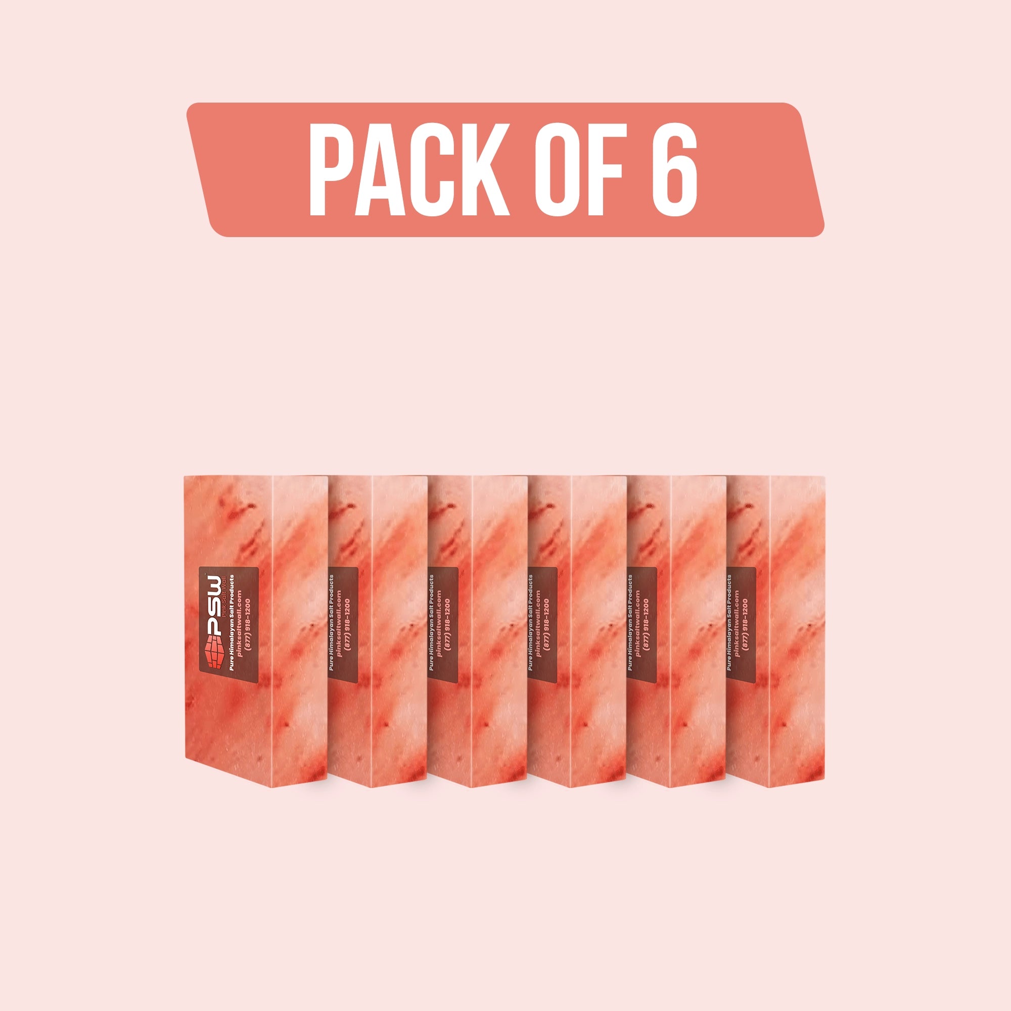 Himalayan Pink Salt Bricks 8" x 4" x 2" - Pack of 6