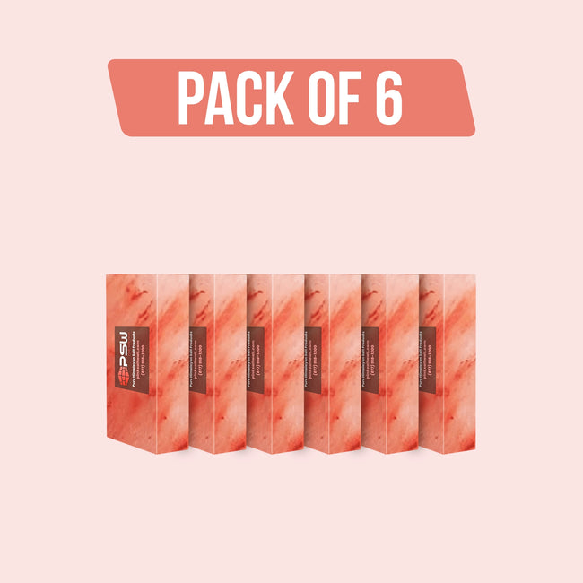 Himalayan Pink Salt Bricks 8" x 4" x 2" - Pack of 6