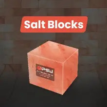 Wholesale Salt Blocks and Bricks for Sauna