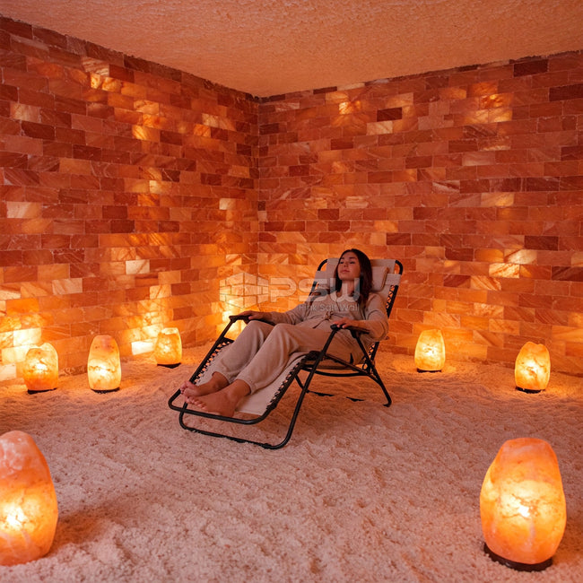 Himalayan Salt Bricks 8" x 4" x 2" Pack of 450 With Free Ducky